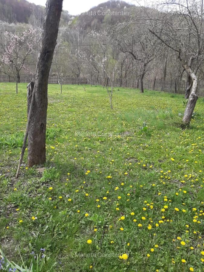 Casa de vanzare sat Carbune?ti, jud. Prahova - 4