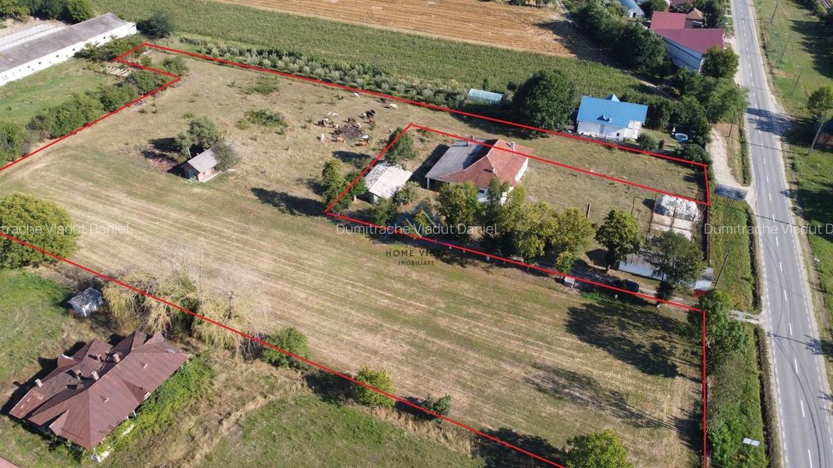 Teren intravilan de 10 614 mp cu deschidere de 59 m - Baiculesti (Comision 0%) - 6