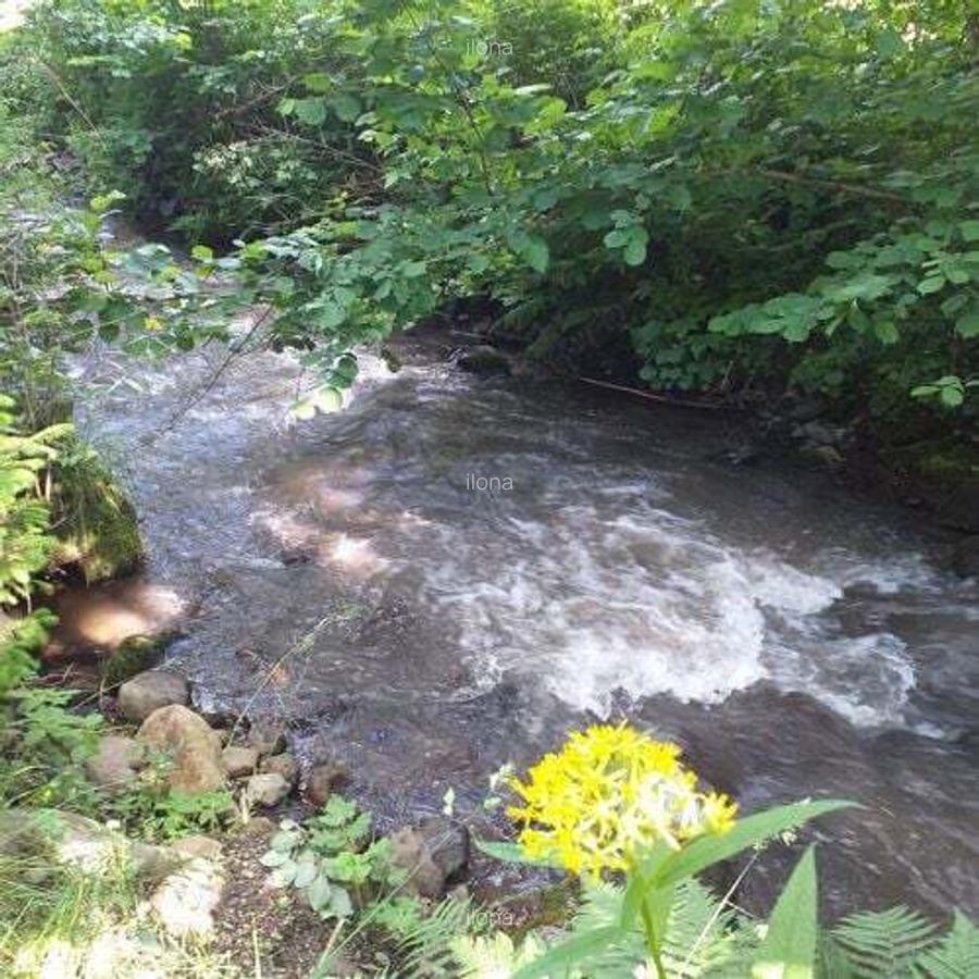 Vindem casa din grinzi pe malul paraului - 3 Vindem casa din grinzi pe malul paraului - 3