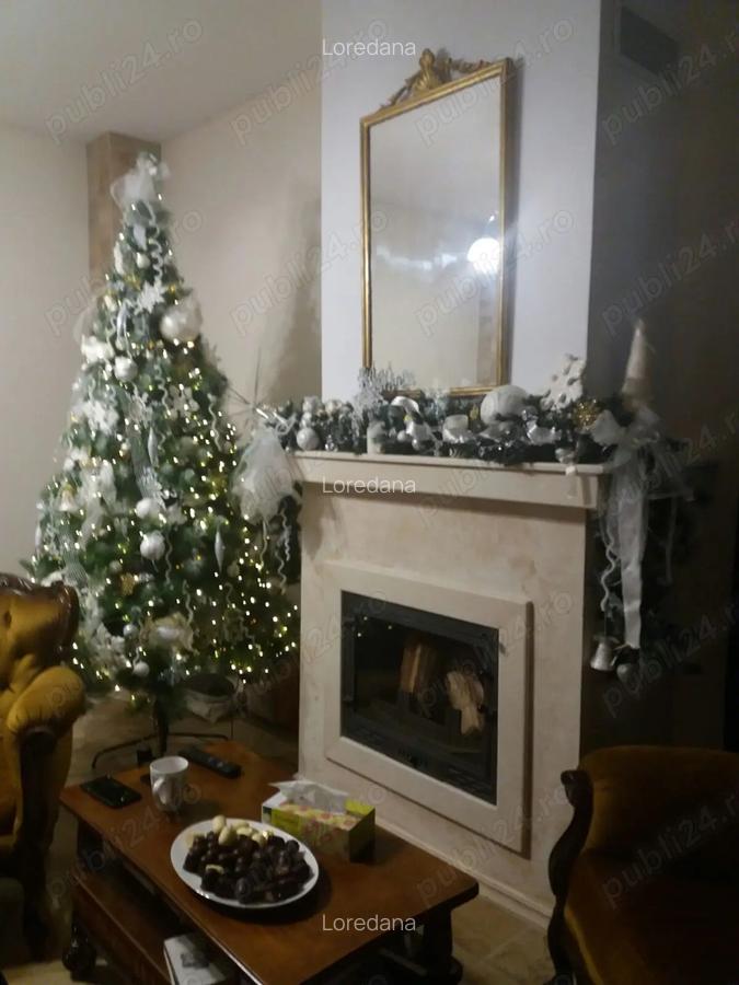 Vila spatioasa de inchiriat la intrarea in Dumbravita - 6