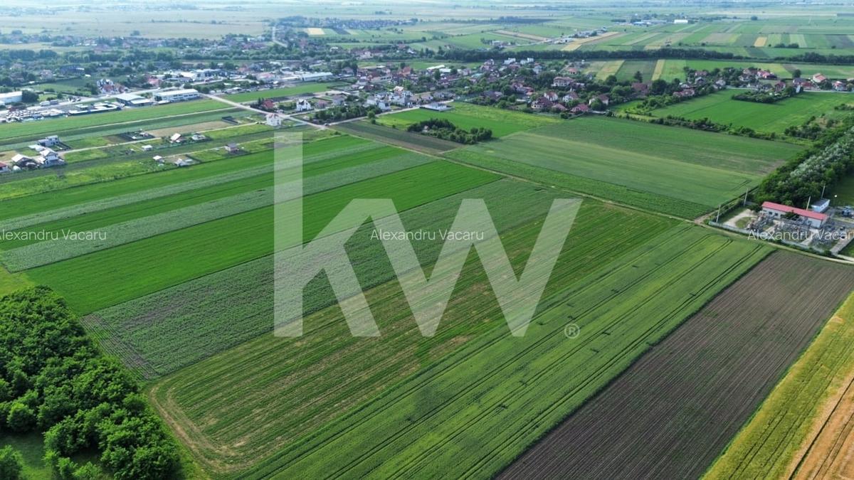 Teren Construcții intravilan de 65940 mp, în Stupini - 17