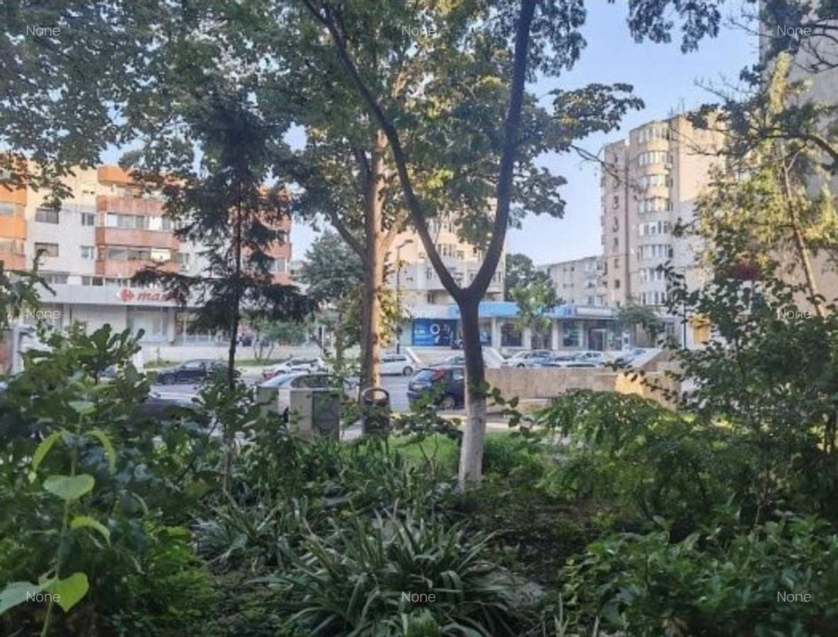 Ocazie! Apartament 2 camere decomandat – Casa de Cultură/parter - 6