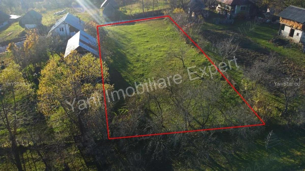 Teren de vanzare in comuna Arefu, jude? Arge?, in apropiere de Transfagara?an. - 3