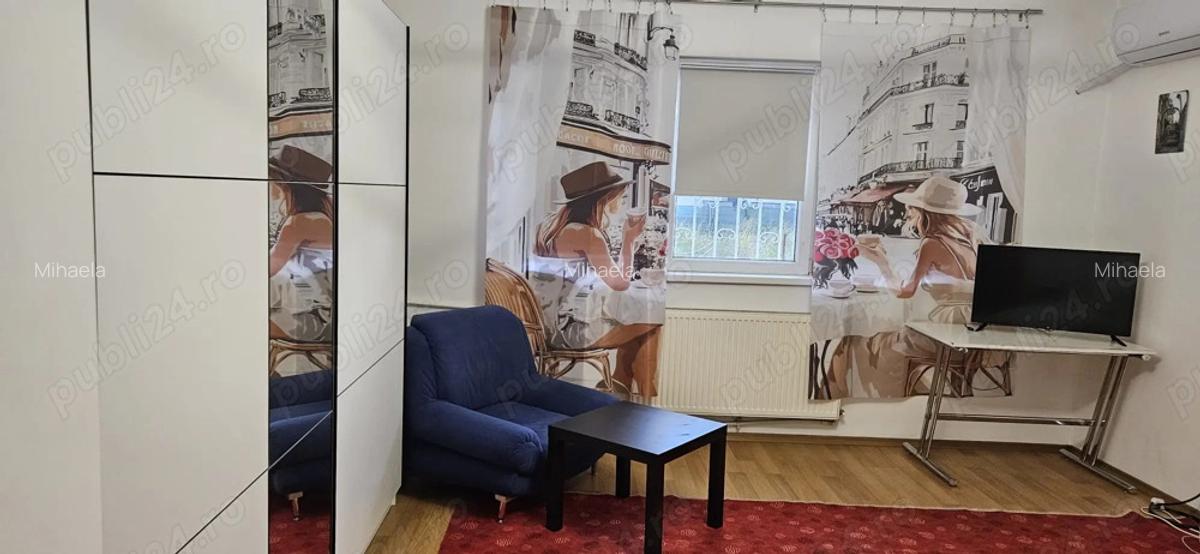 Garsoniera Dr. Taberei ANL Brancusi Dr. Doftanei - 8