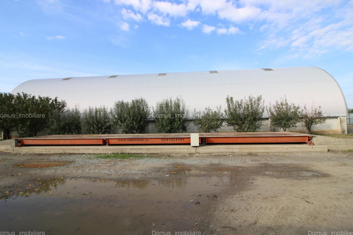Baza de cereale in functiune , 4500 mp intravilan + 2 depozite (aprox 1000mp) - 5