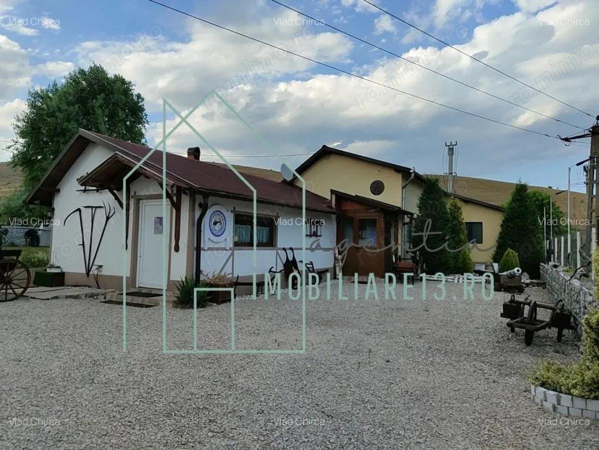 Domeniu, Afacere de vanzare, Sebe?, Alba, balta pescuit, ferma lavanda - 3