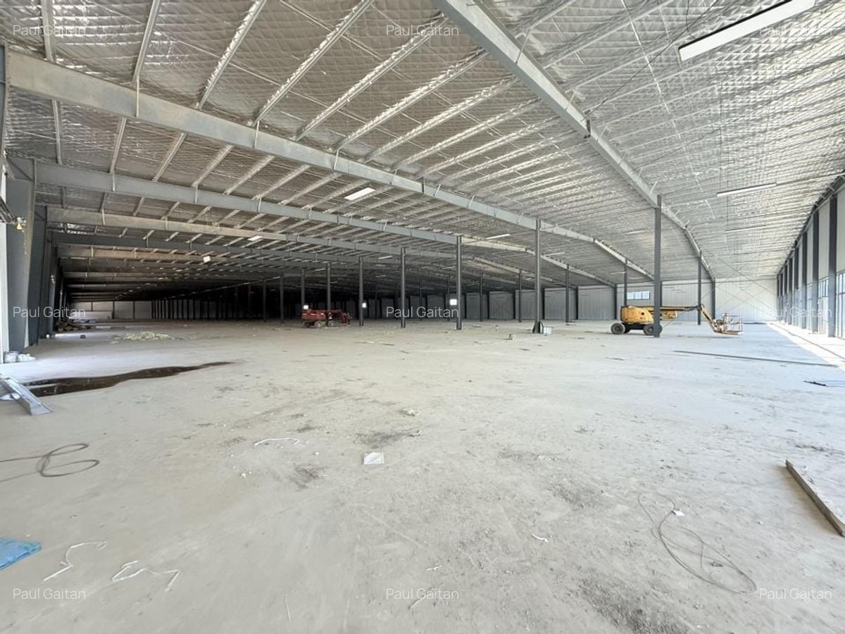 Centru Comercial  24202 mp hale depozitare productie logistica - 12