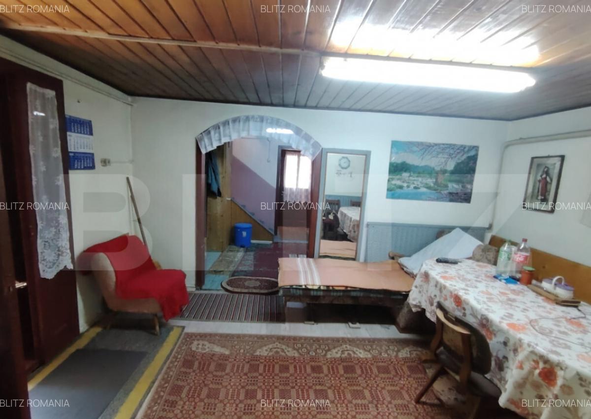 Cabana 5 camere Salard - 13