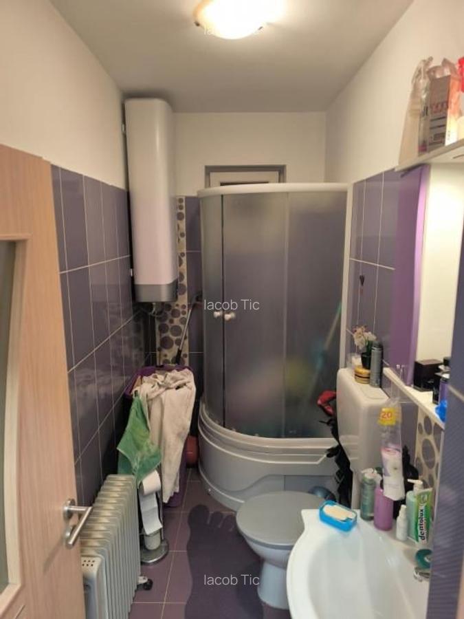 Apartament cu 3 camere decomandat în Nufărul - 10