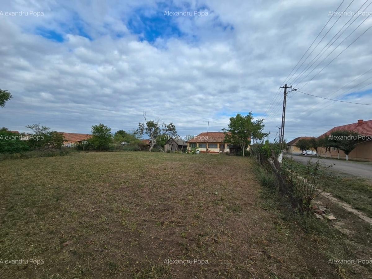 Casa individuala cu teren generos în zona liniștită - 6