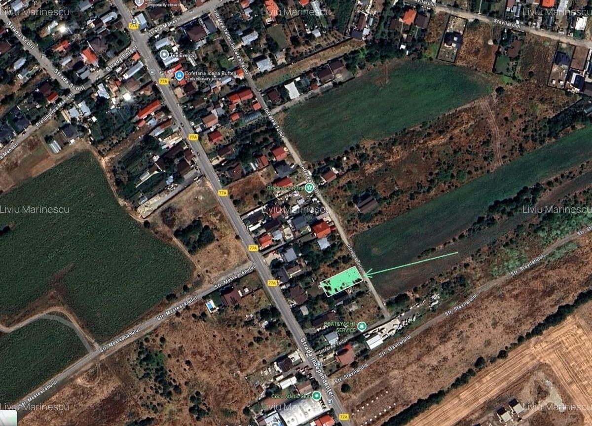 Teren intravilan Buftea, Cartier Flamanzeni, Intrarea Teilor nr. 36 - 2