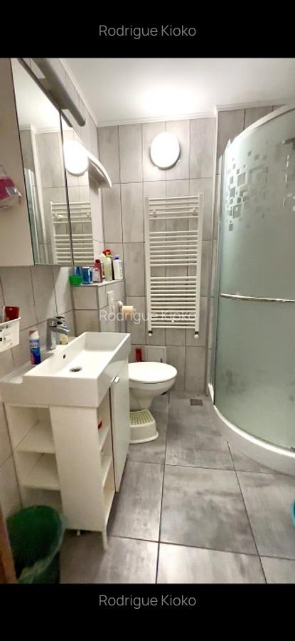 Apartament 3 camere complet renovat, centrala proprie, Dristor - 12