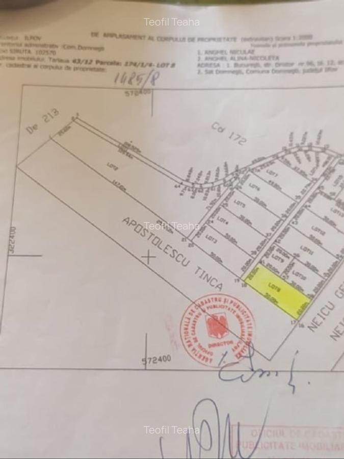 Domnesti, intravilan, 1000 mp - 3
