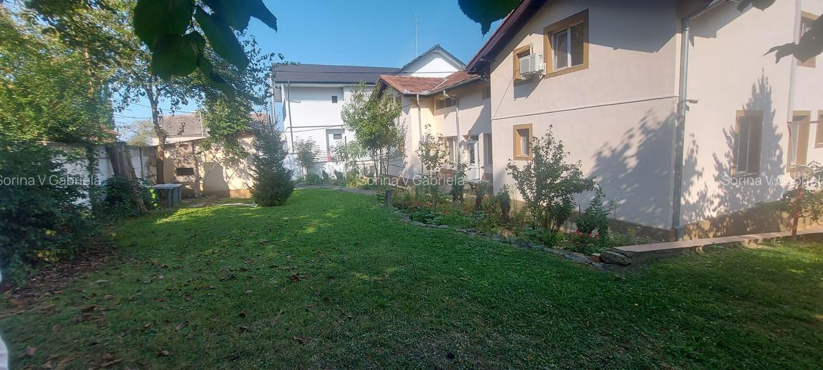 Pensiune functionala arhitectura deosebita Buzias - 3