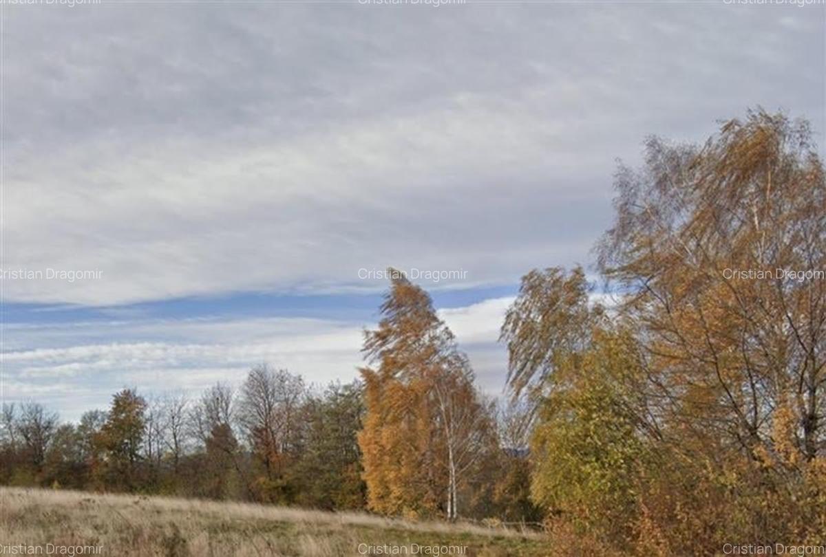 11.600mp teren, partial extravilan ,Valea Mare Pravat, 2 km de Campulung Muscel - 2