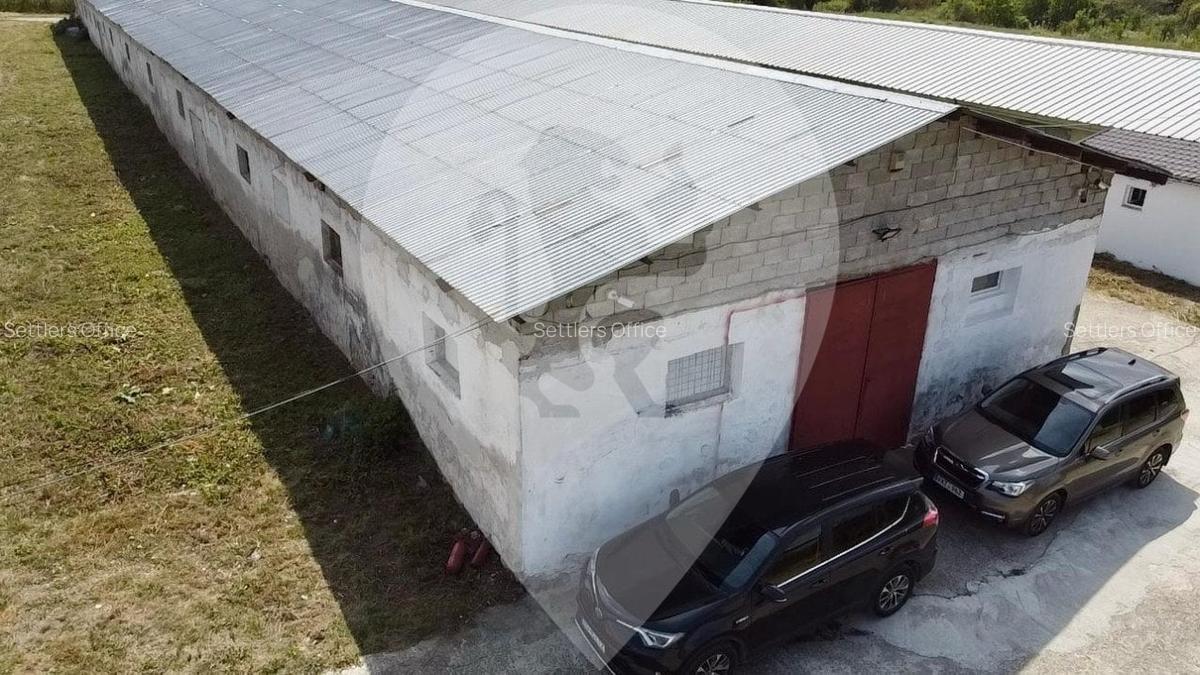 Spațiu industrial, 800 mp în Teliu - 6