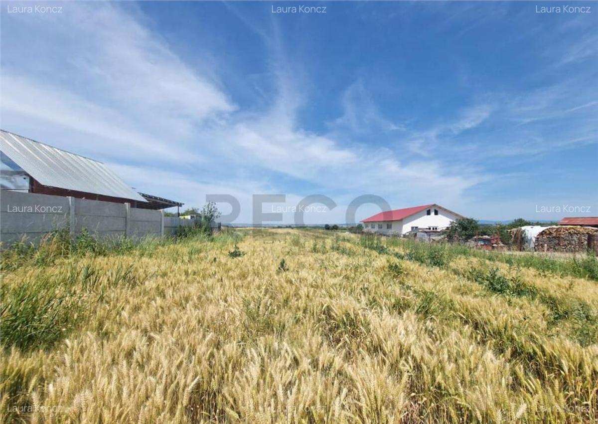 RECO teren intravilan la 15 minute de Metro Oradea - 6