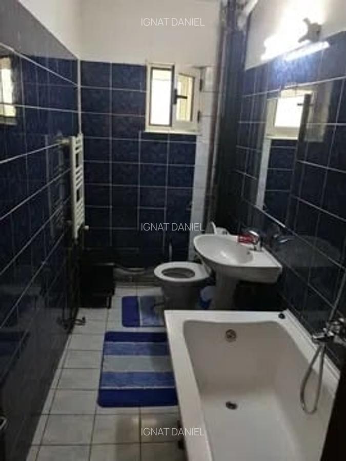 Apartament cu 2 camere, decomandat, zona Podu de Fier - 5