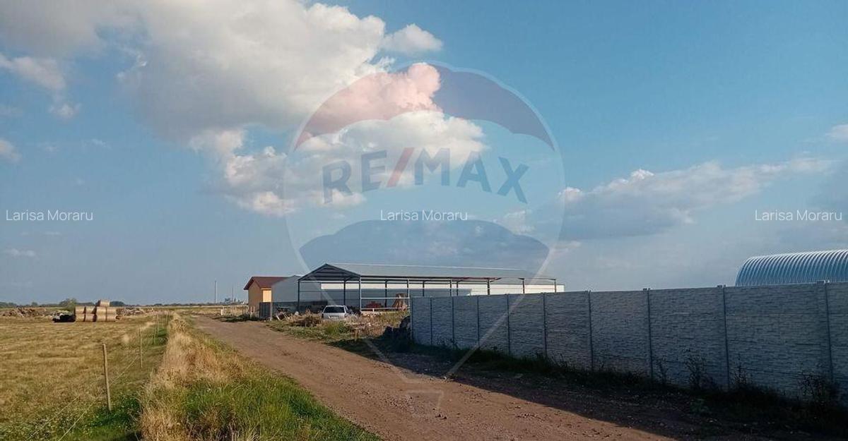 Teren intravilan cu hala construita - 1