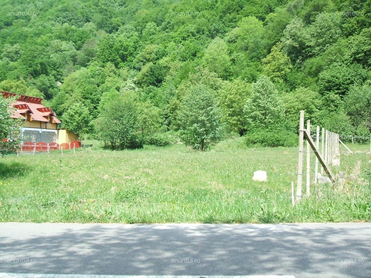 Raul Mare Retezat, Parcul National Retezat, Judetul Hunedoara - 1