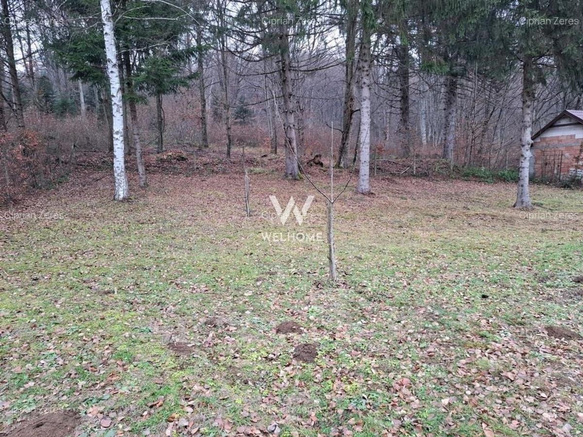 Teren deosebit pozitionat, cu livada, langa padure,  pe Valea Avrigului - 4