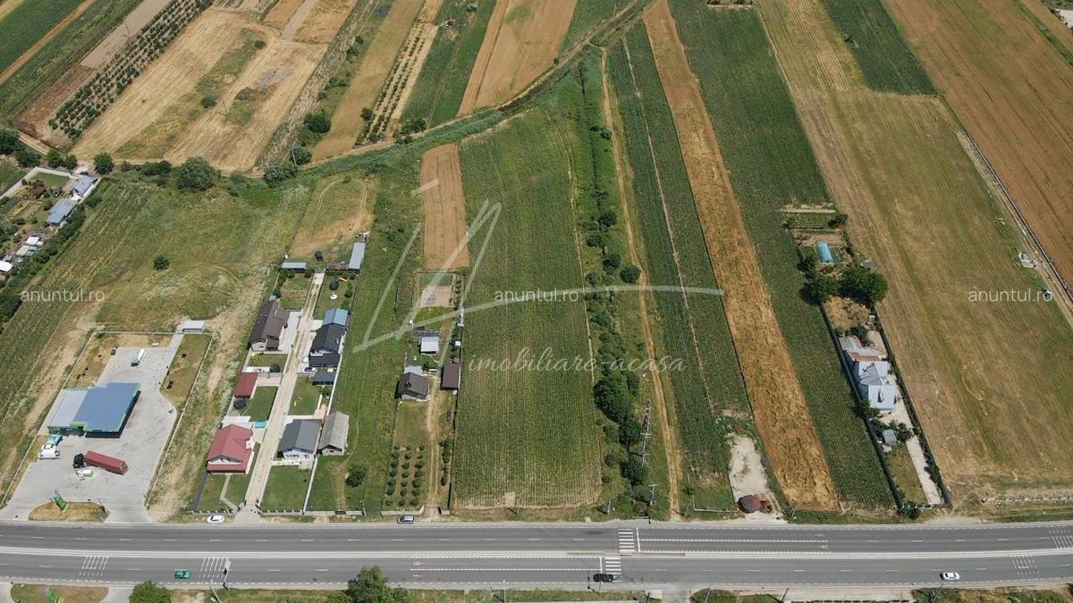 Maracineni, judetul Arges Teren cu potential de dezvoltare -7427 mp in Argeselu - 6