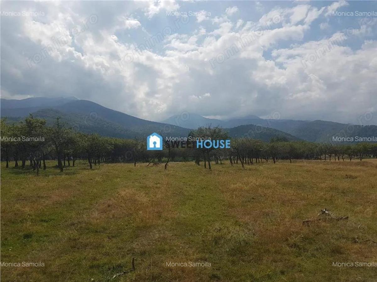 Teren de vanzare in Sambata de Sus - 4