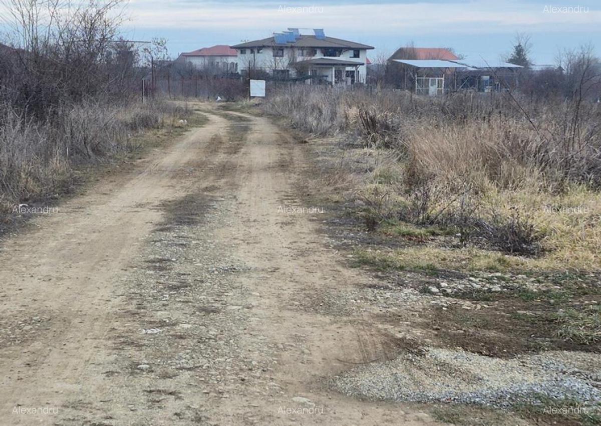 Teren Balotesti, apropiere Dn1 si sens giratoriu, 650mp - 6