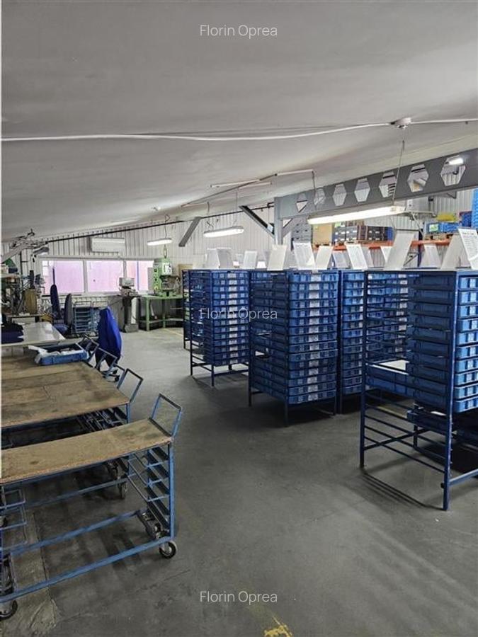Exclusivitate - Proprietate Industriala De Vanzare - Productie - Depozitare - 10