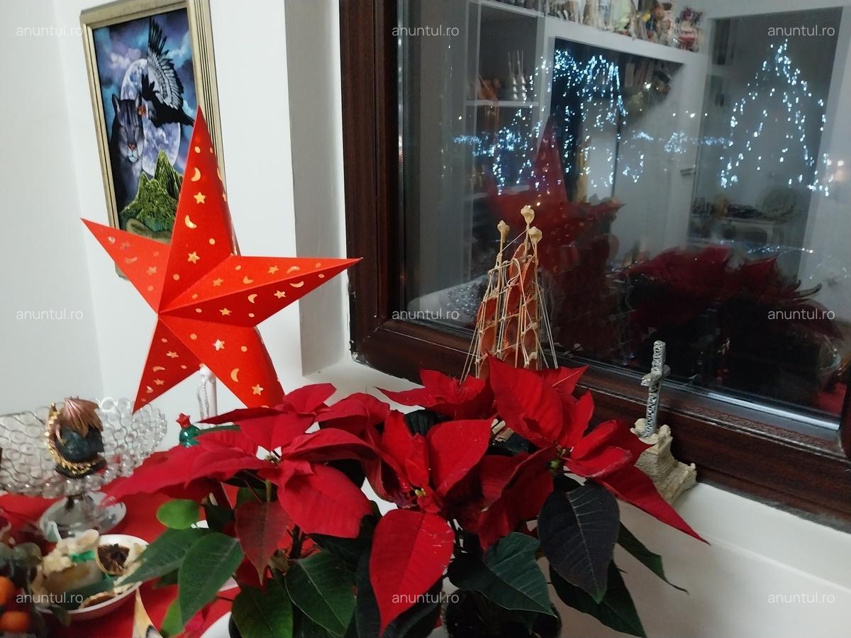 Orhideelor, Dudu, Chiajna - 4