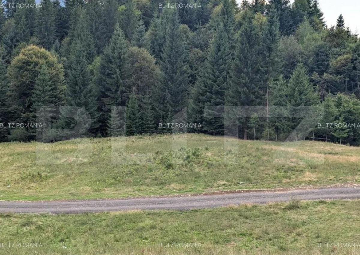 Teren intravilan de vanzare in Colibi?a oportunitate - 1 Teren intravilan de vanzare in Colibi?a oportunitate - 1