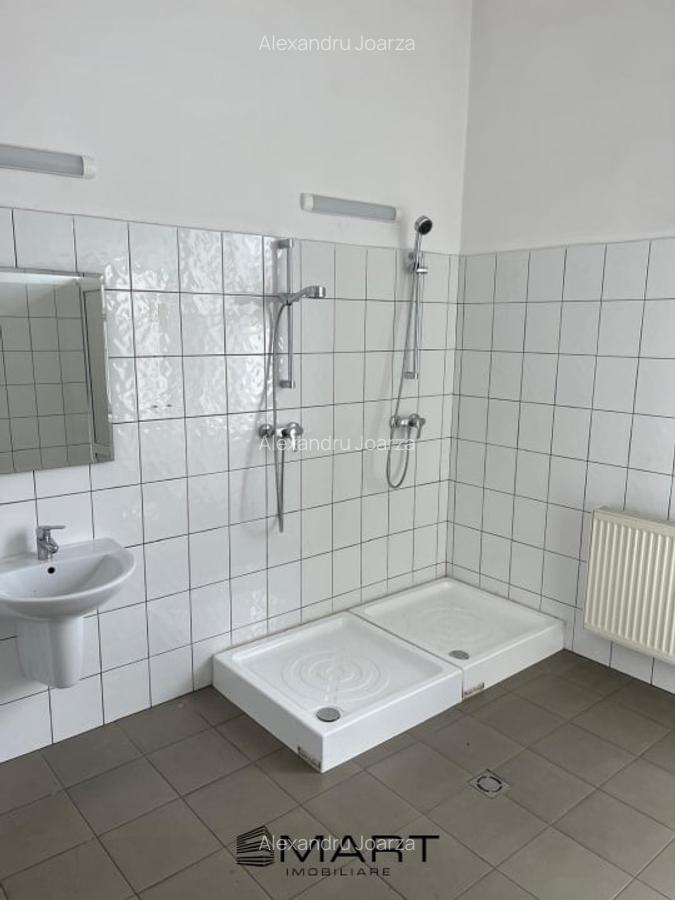 Spatii de inchiriat - Depozitare | Productie | Birouri Cisnadie - 6