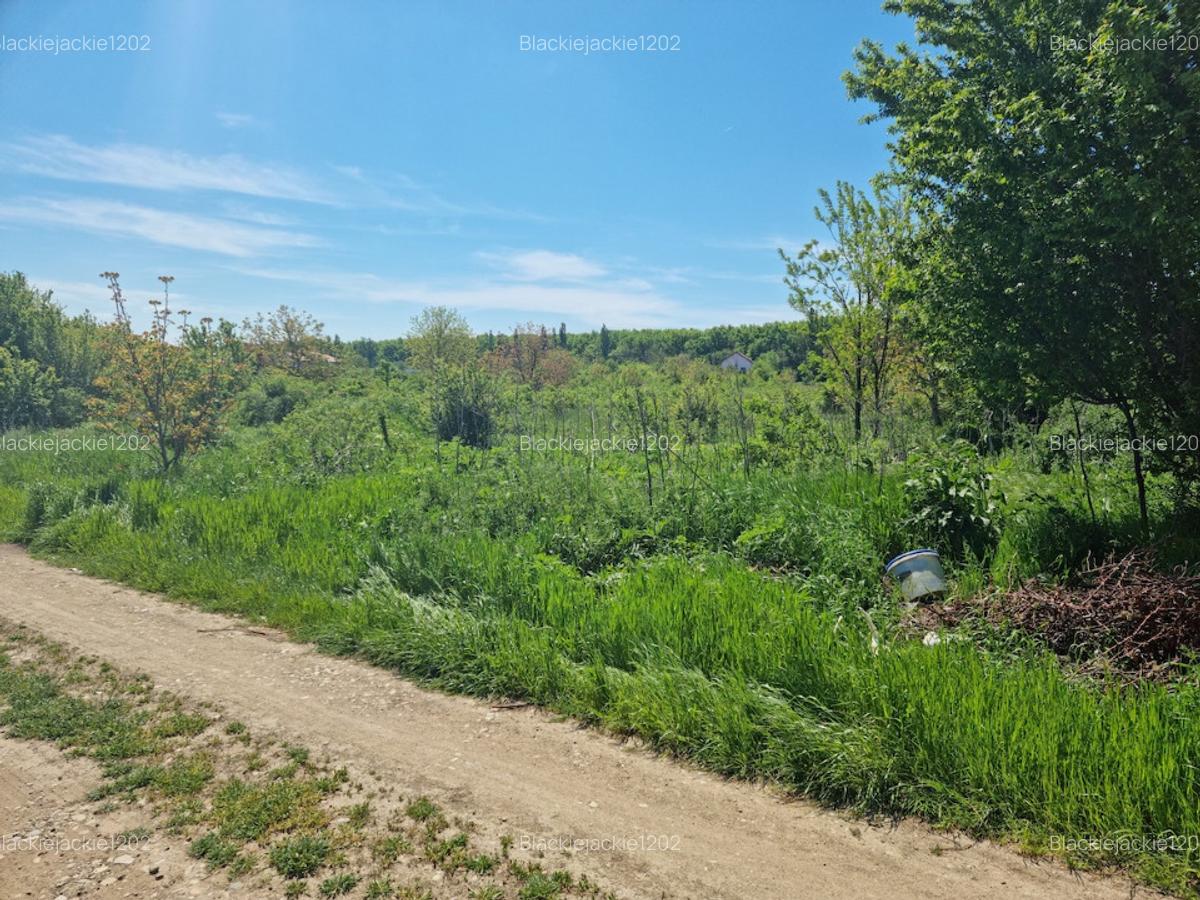 Bolintin Deal 1383mp intravilan deschidere strada Campul nou 26m - 2