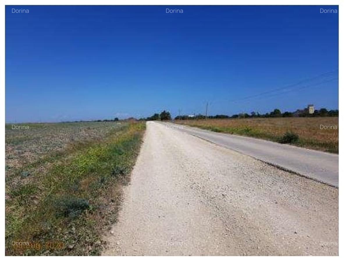 Teren agricol extravilan de 12500 mp, în Corbu - 2