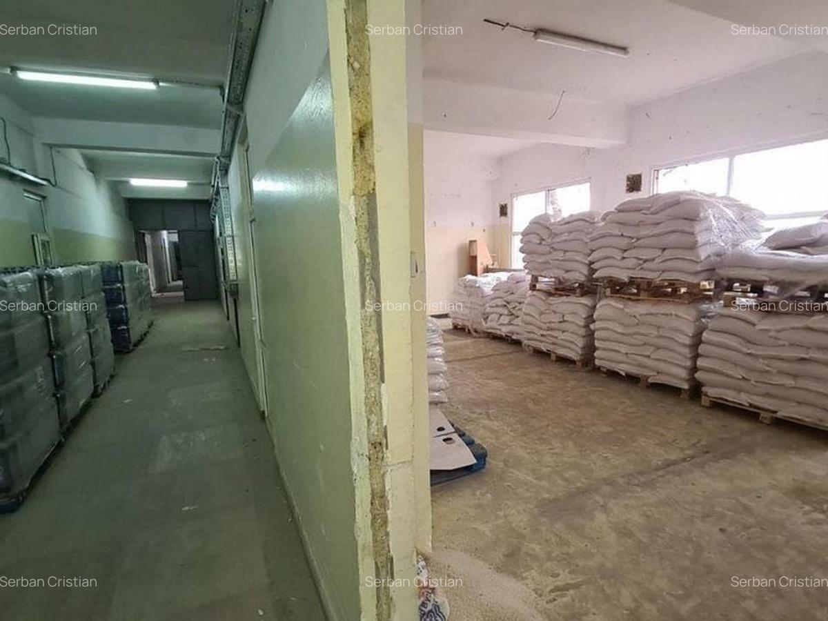 Drumul Intre Tarlale spatiu productie 1350 mp - 15
