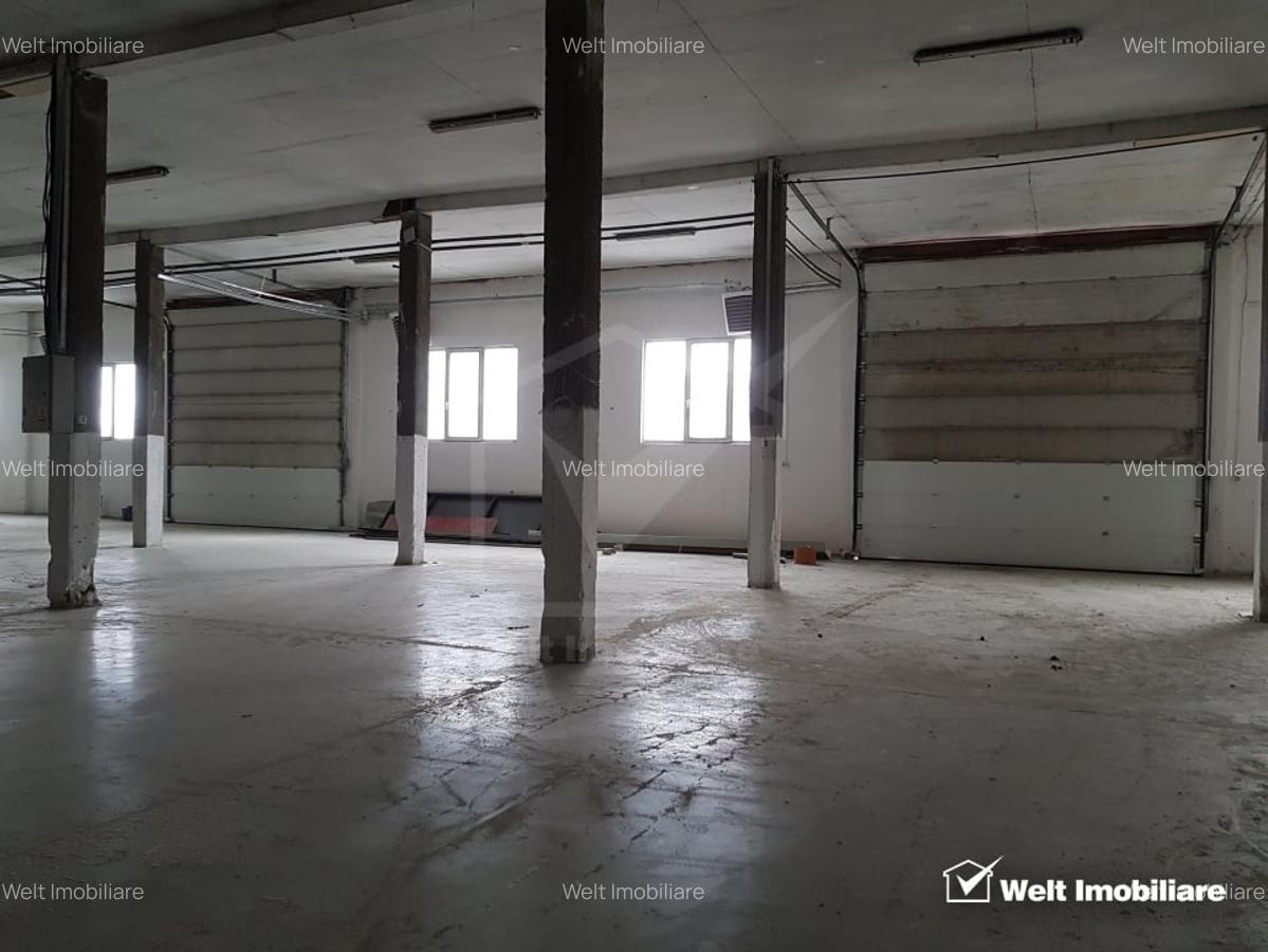Doua hale industriale 1906mp, curte libera 2800mp, Someseni - 4