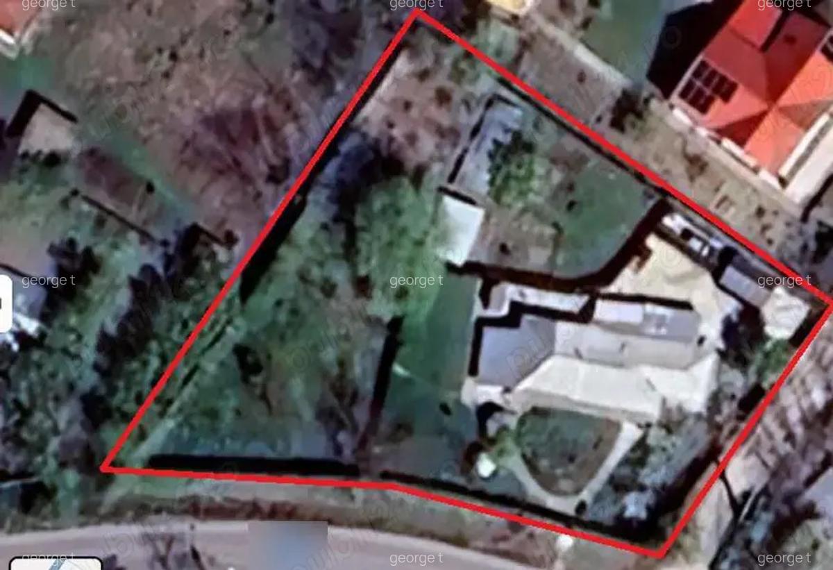 Casa langa bucuresti 1600mp zona gorneni giurgiu 100 metri de DN6 E7 30 km de piata unirii - 9