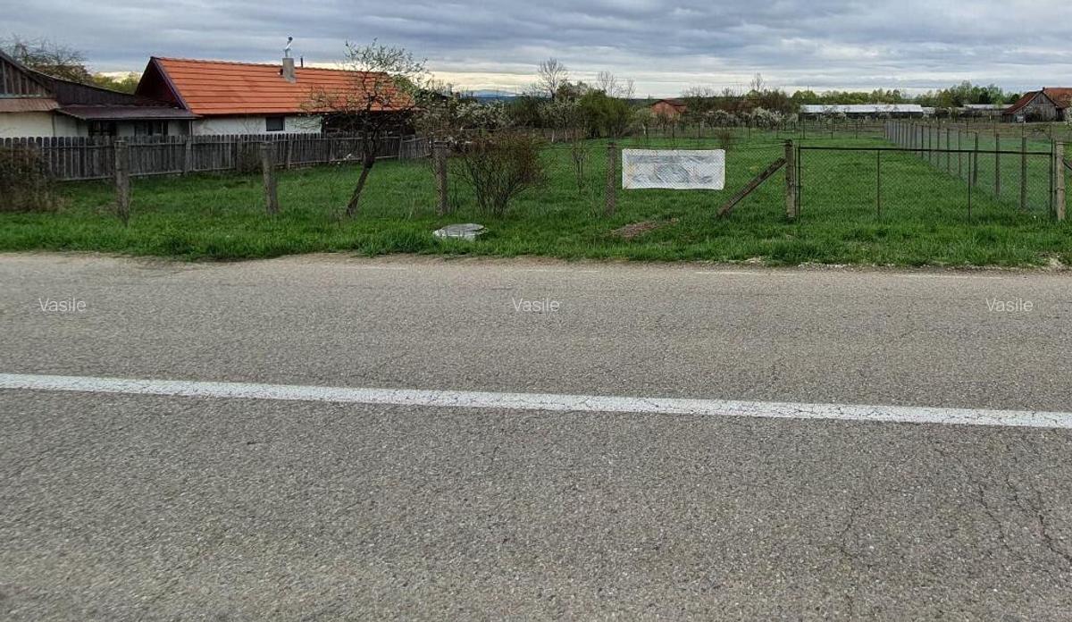 Teren intravilan de vanzare Balin?, jud. Timi? 1.230 mp - 2