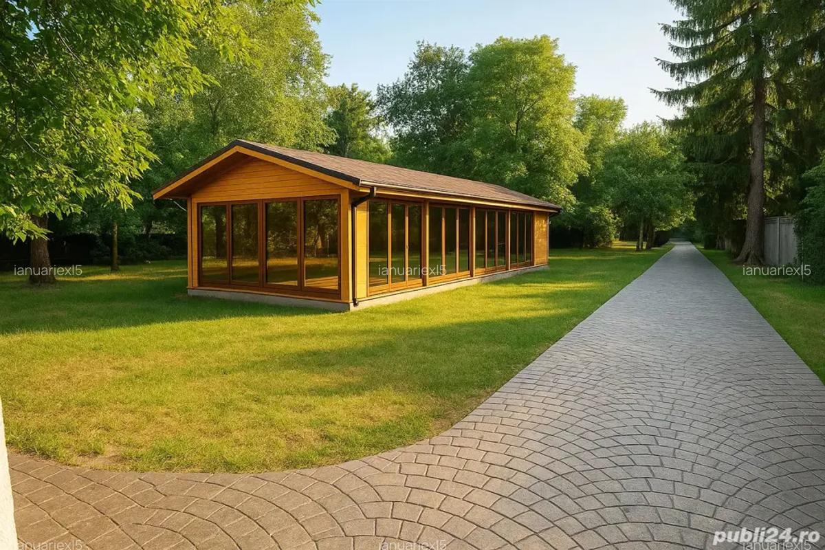 Vand vila cu valoare istorica in zona Iosif Vulcan - 9