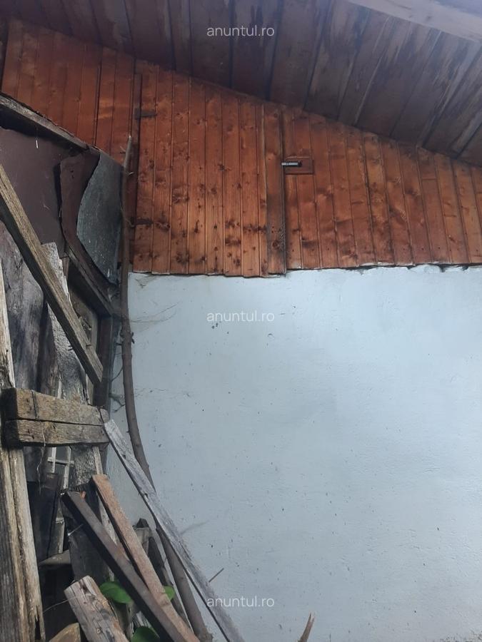 Busteni, ultracentral - 19