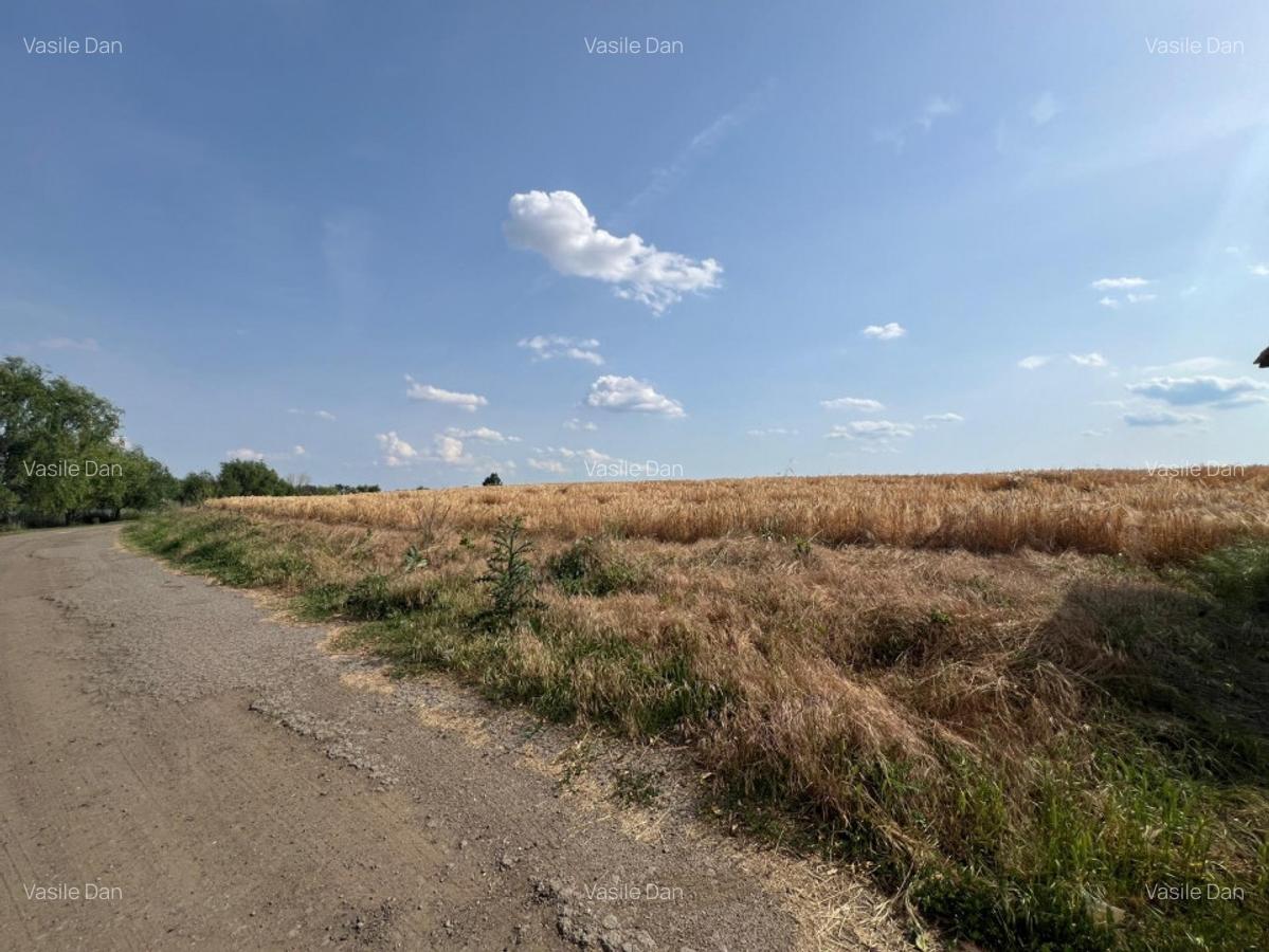 Teren Berceni La Lacuri | Oportunitate Investitie | - 6 Teren Berceni La Lacuri | Oportunitate Investitie | - 6