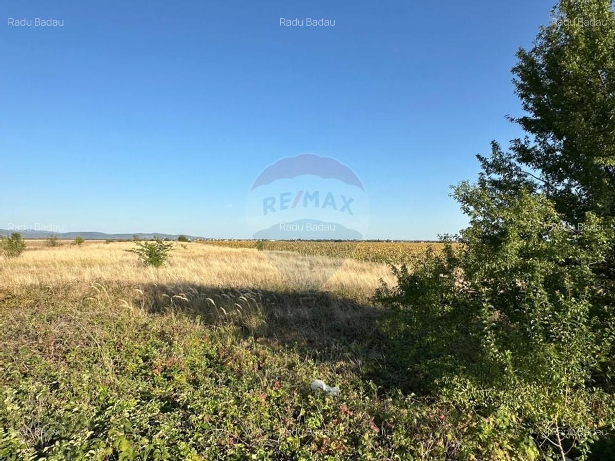 Teren extravilan de vanzare - 19.963 mp, E68 Mandruloc-Vladimirescu - 8