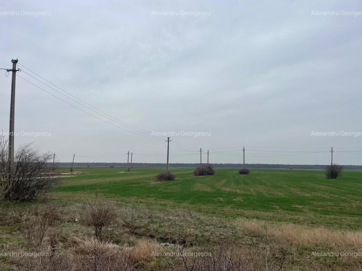 Giurgiu-Marsa Teren Agricol 8.5 Ha - 6