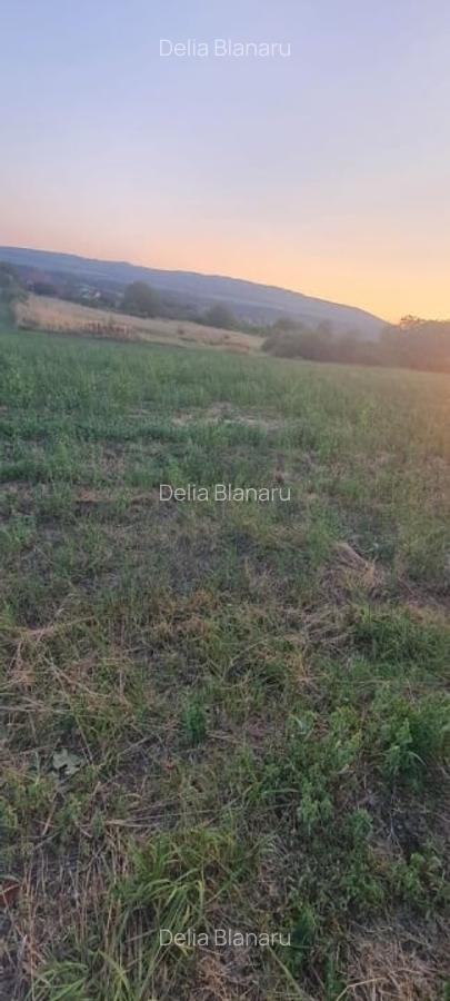 Teren extravilan 6883mp Odobesti - 2