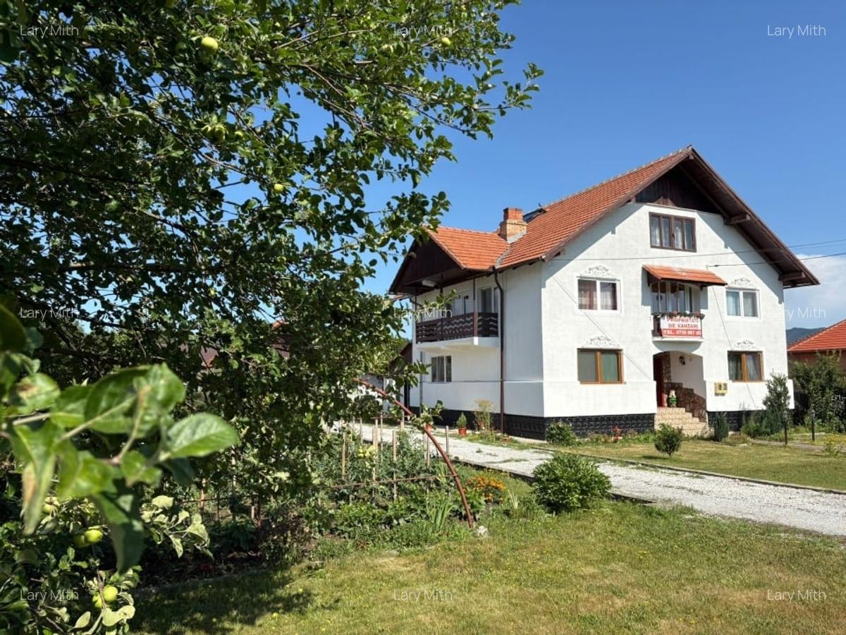 Casă Spațioasă și Domeniu Generos de Vânzare în sat Râu Barbat, comuna Pui, HD - 11