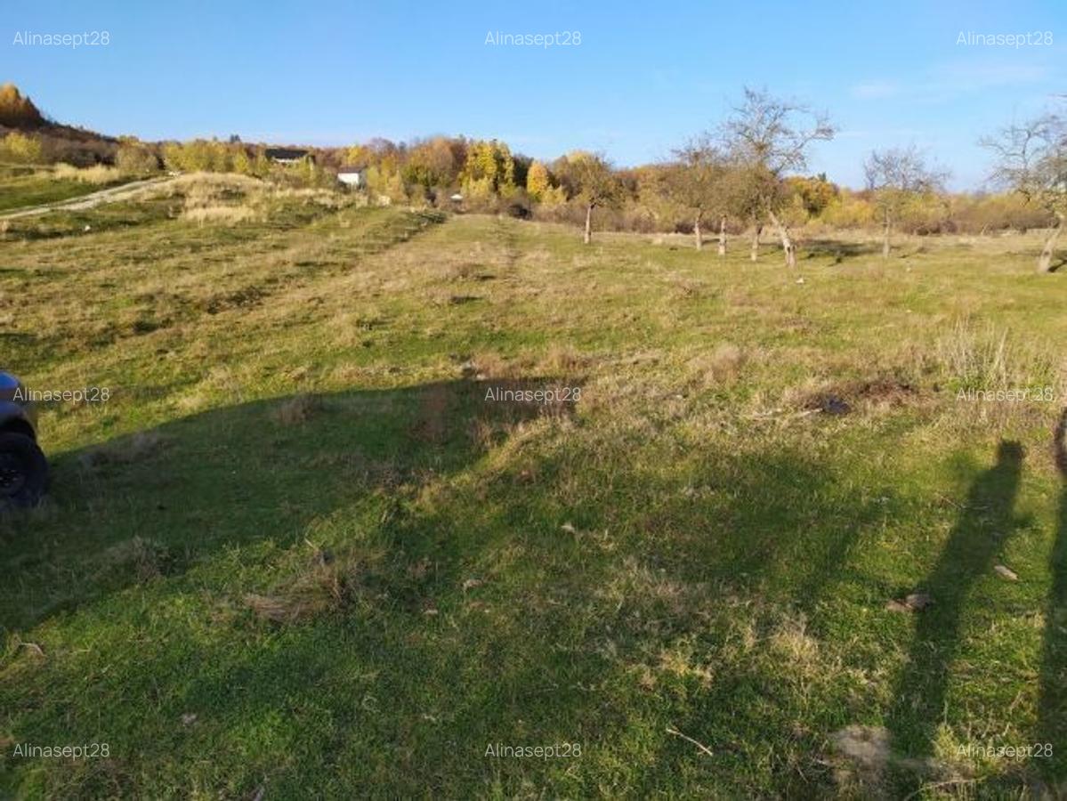 Teren intravilan DE VÂNZARE, NEGOCIABIL Campina (jud Prahova), cartier Voila (1h30min de Bucuresti) - 8