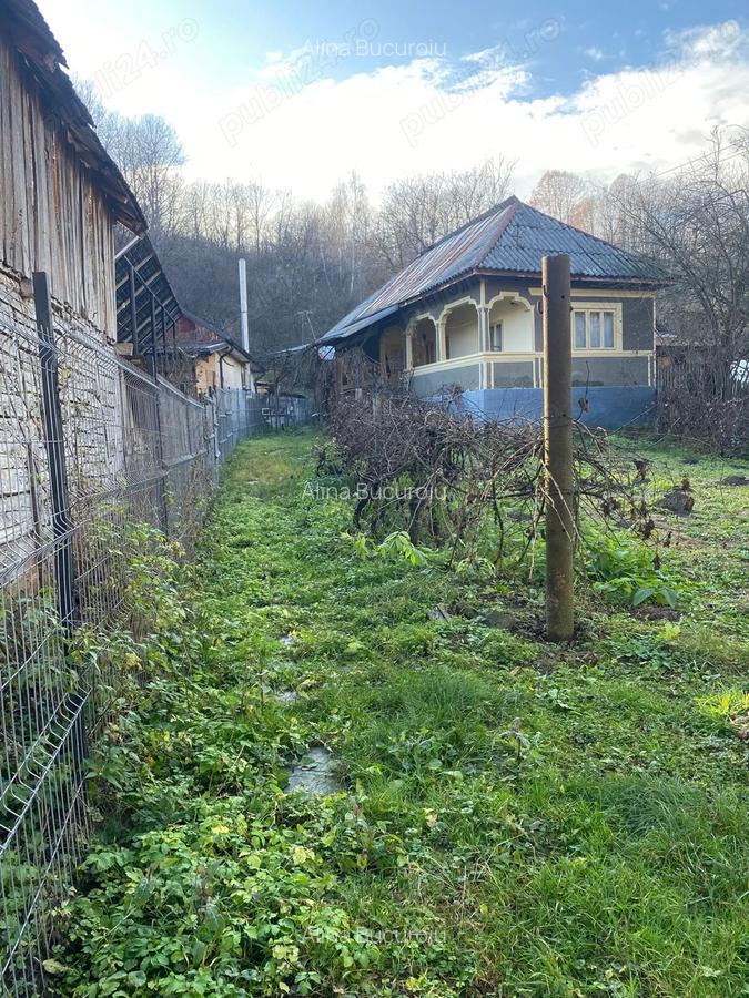 Vand casa cu teren in Vi?ine?ti, Dambovi?a zona lini?tita, natura, aer curat - 3