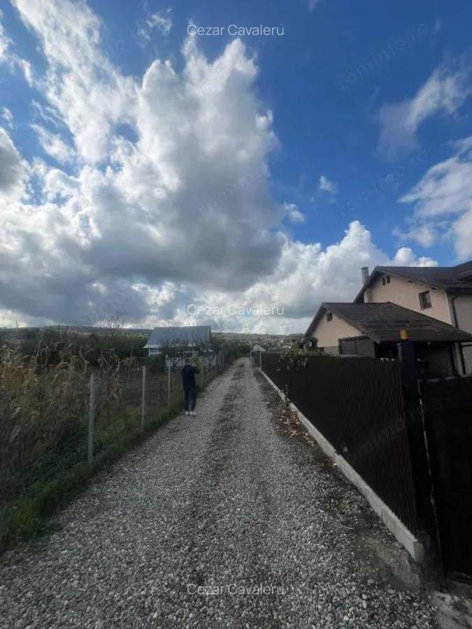 Teren intre case- Magura Farbe- 1419 mp - 3