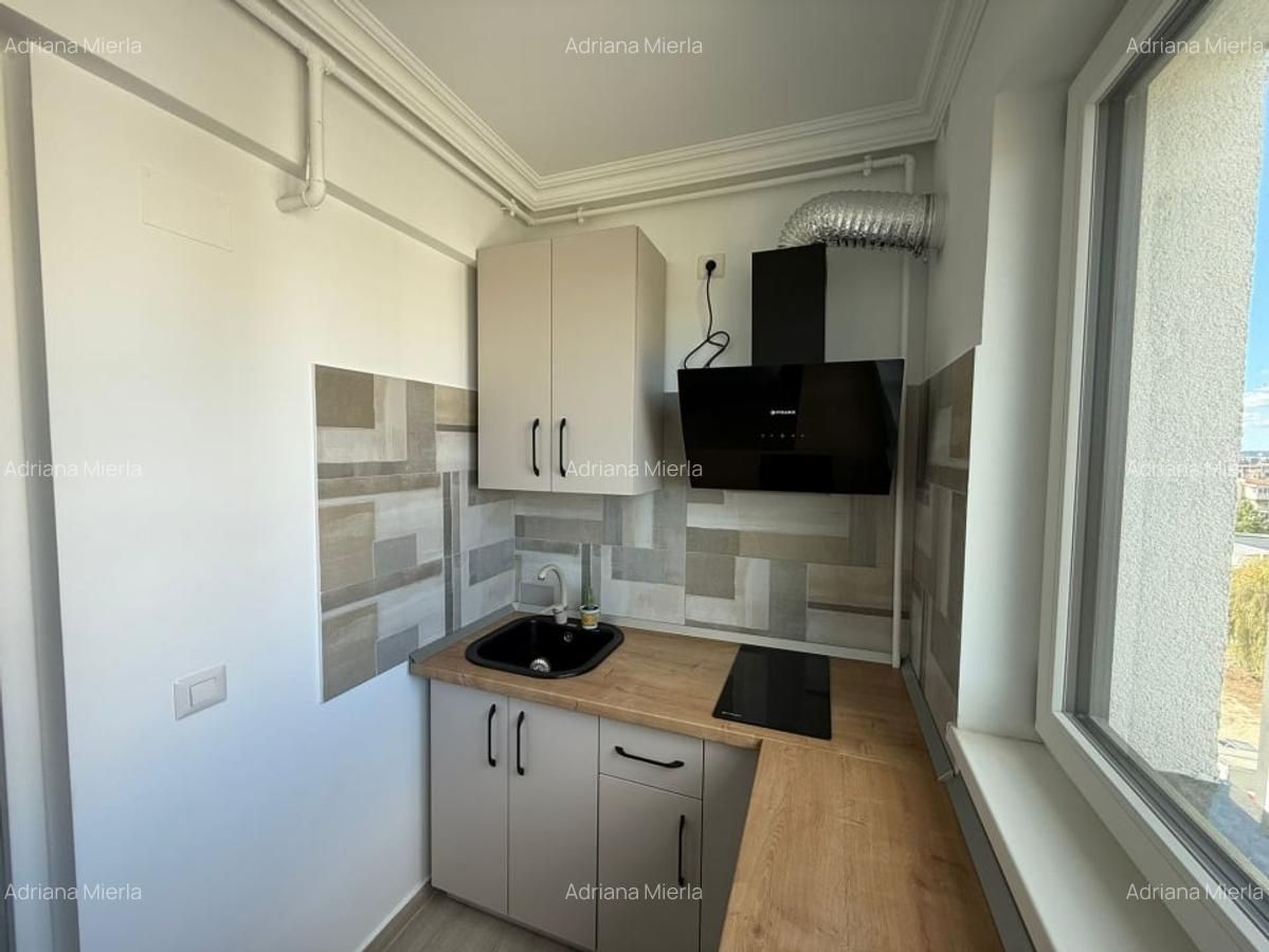 Apartament, 2 camere, 60 mp, open space, Lapus Arges , Zona Trenul Pierdut - 5