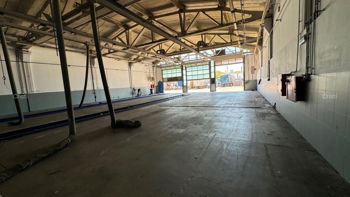 HALA PRECIZIEI si PLATFORMA BETONATA - MIILiTARI - PRECIZIEI - 12
